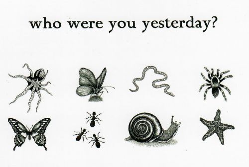 Who Were You Yesterday? 