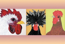 Latino Roosters