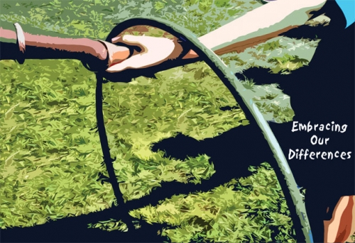 Embracing Our Differences 