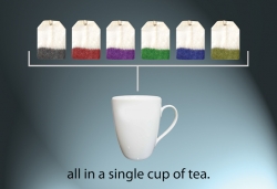 Tea For Tolerance