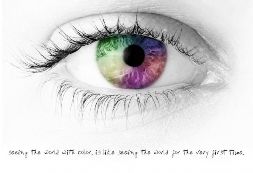 See the World with Color 