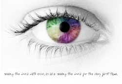 See the World with Color 