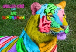 Colors of the World Tiger 
