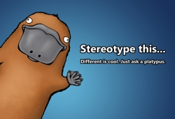 Stereotype This Platypus 