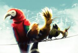 The Flawless Symphony