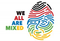 Diversity Fingerprint