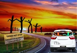 Things Not Often Thought of as Families Often are Families