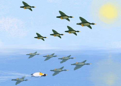 Accept, Adjust, Flow!