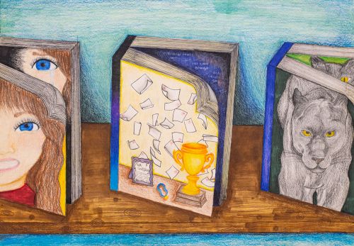 Don't Judge a Book by Its Cover