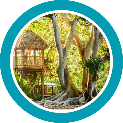 Marie Selby Botanical Gardens logo