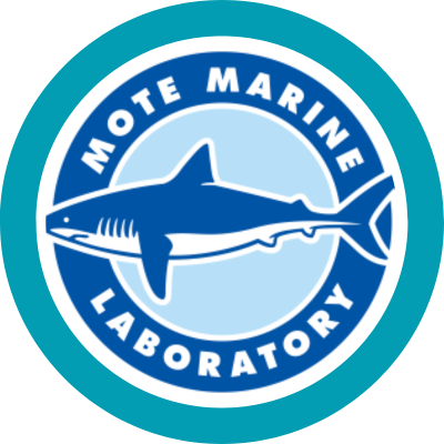Mote Marine Lab Experience logo